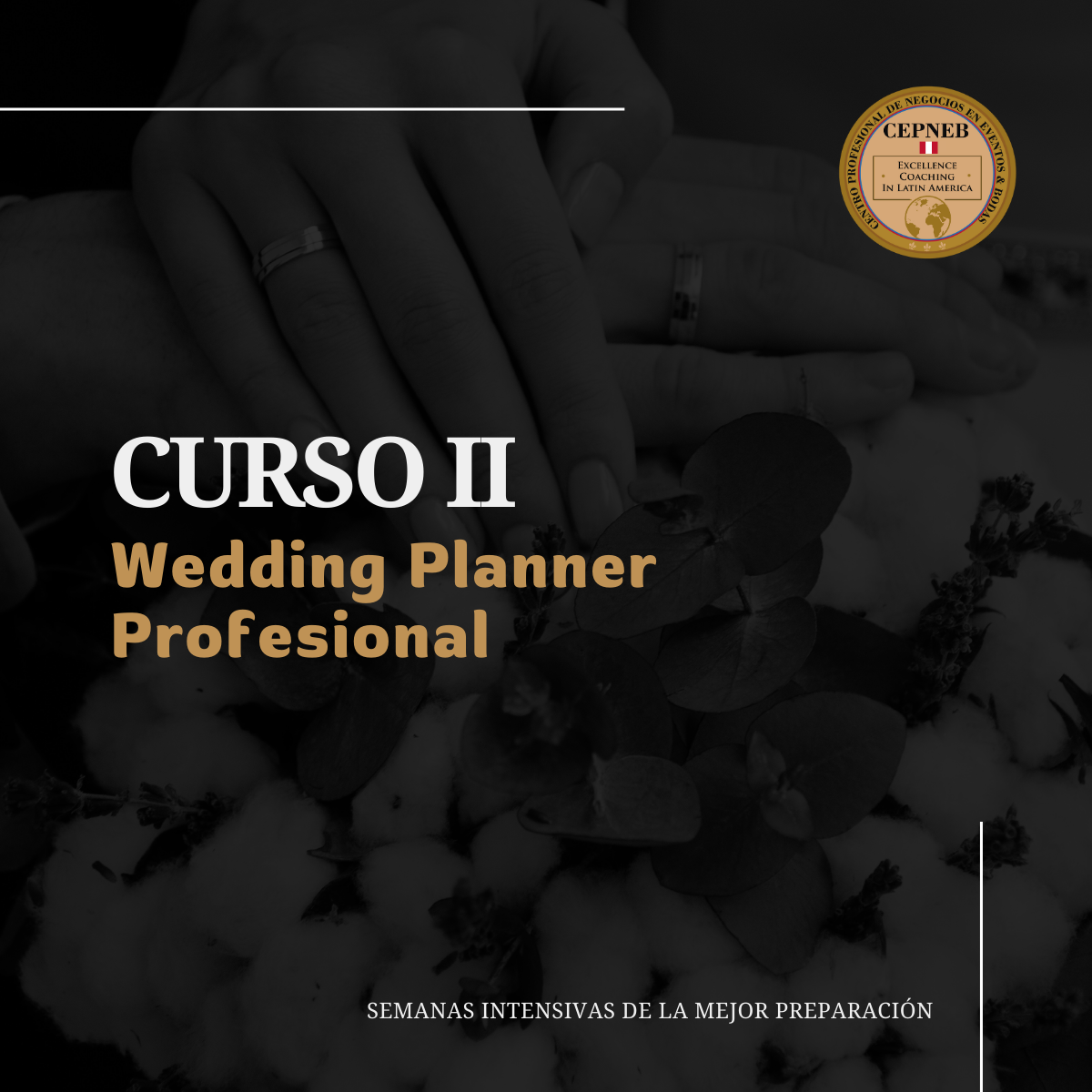 CURSO II: Wedding Planner Profesional